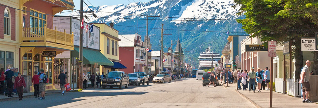 White Pass Summit & Yukon Suspension Bridge Tour - Skagway Tours